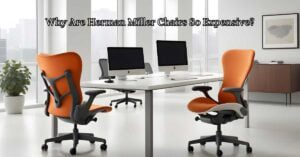 Why Are Herman Miller Chairs So Expensive